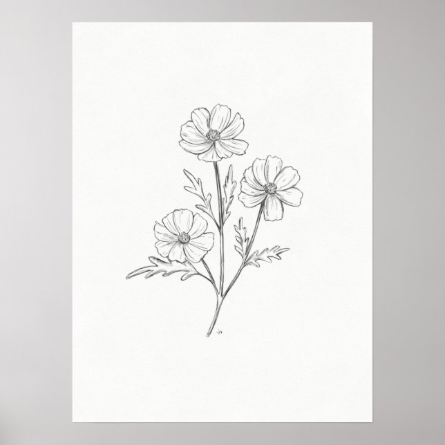 Cosmo Stift Zeichnend Kunstdrucke Poster (Vorne)