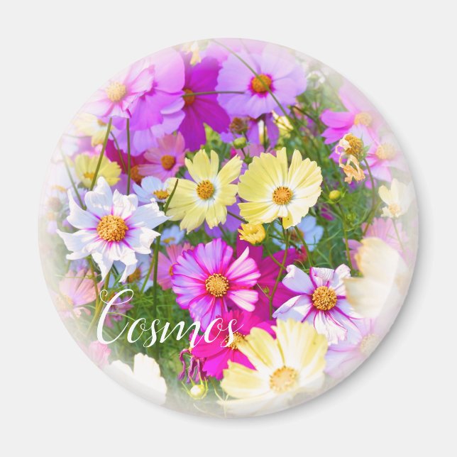 Cosmos グ ネ magnet (Vorne)
