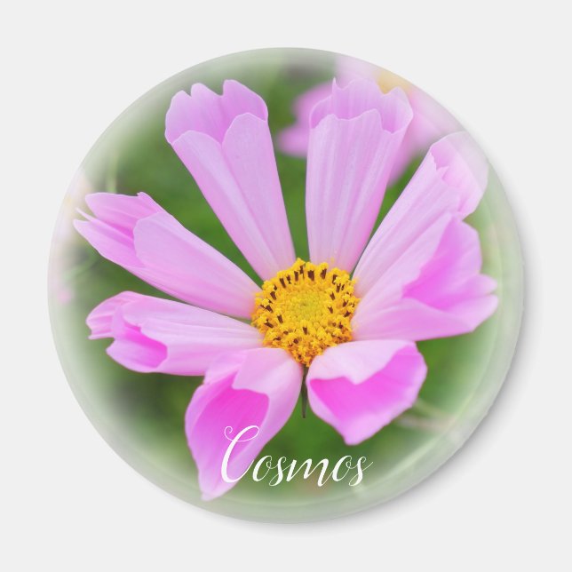 Cosmos グ ネ magnet (Vorne)