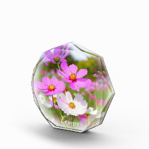 Cosmos フォトブロック