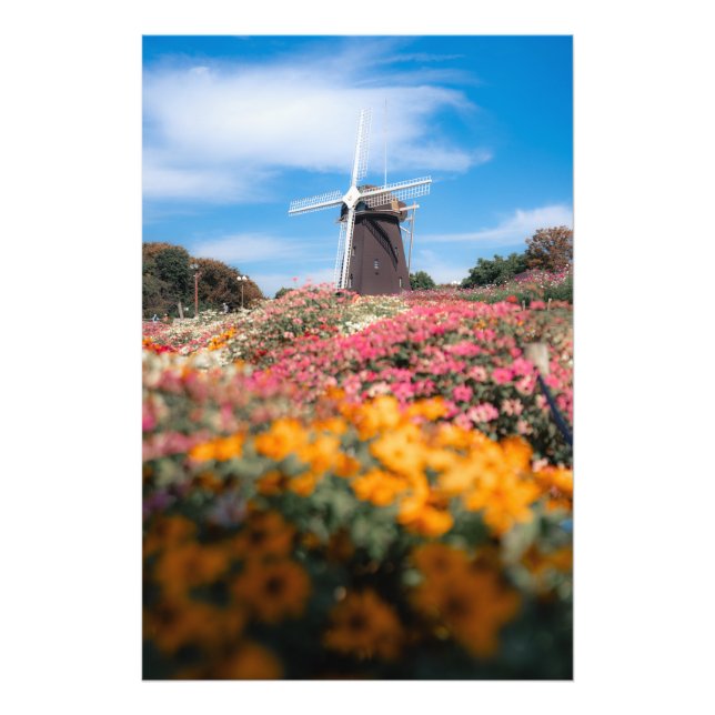 Cosmos and windmills fotodruck (Vorne)