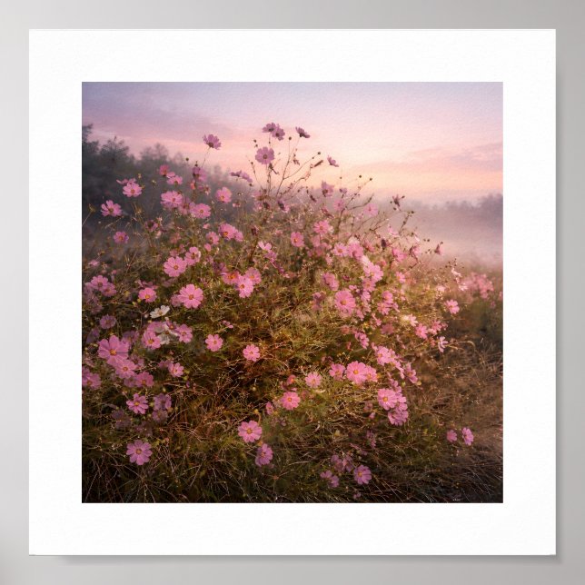 Cosmos at Quiet Dawn – Soft Morning Meadow  Poster (Vorne)
