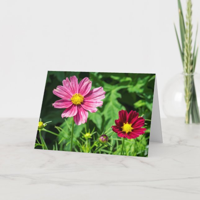 Cosmos Blank Note Card Karte (Vorderseite)
