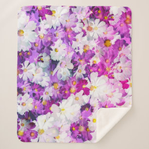 Cosmos-Blume: Blumenrosa lila Hintergrund Sherpadecke