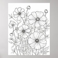 Cosmos Blume Farbenplakat für Erwachsene