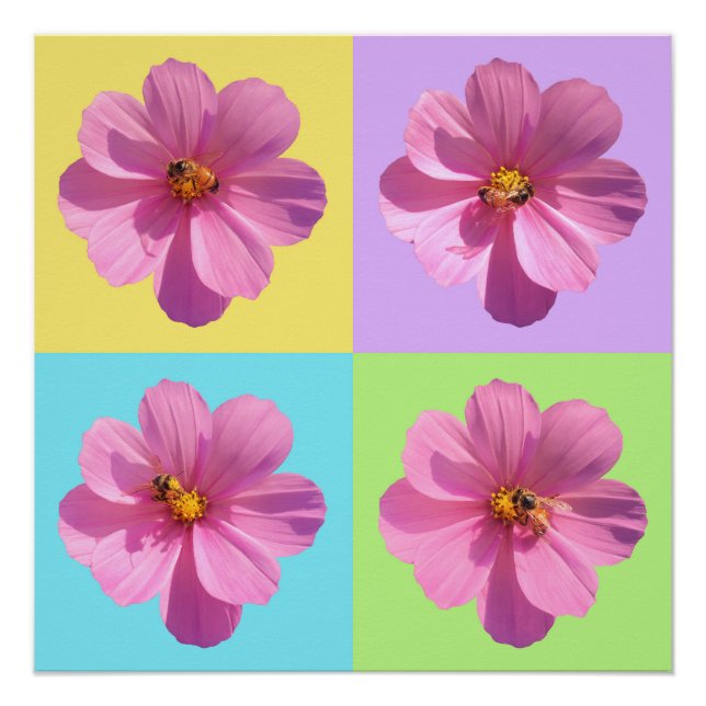 Cosmos-Blume mit Honigbiene Poster (Vorderseite)