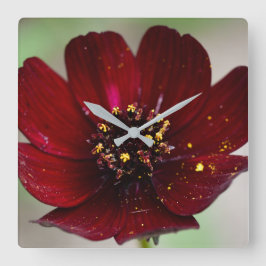 Cosmos-Blume Quadratische Wanduhr