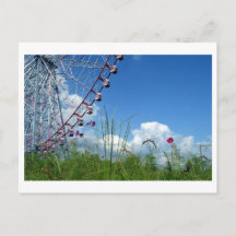 Cosmos Blume & Riesenrad: Japan