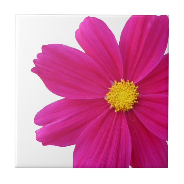 Cosmos Blume Tile Fliese (Vorderseite)