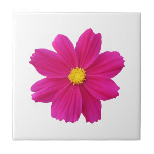Cosmos Blume Tile Fliese