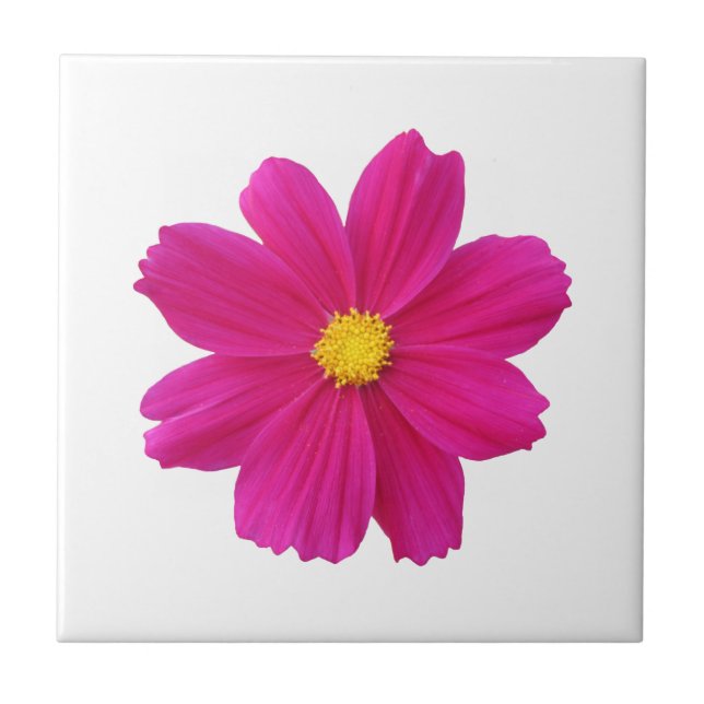 Cosmos Blume Tile Fliese (Vorderseite)