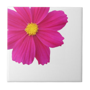 Cosmos Blume Tile Fliese