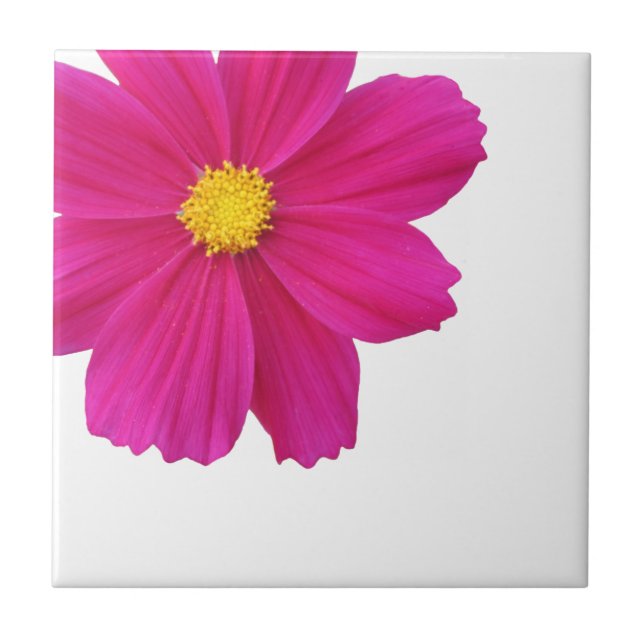 Cosmos Blume Tile Fliese (Vorderseite)