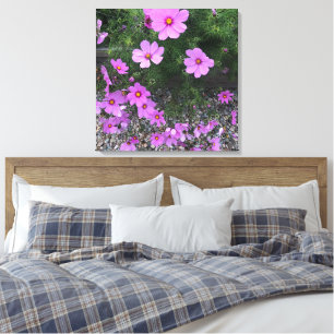 Cosmos-Blumen mit Kieselsteinen auf einem Leinwanddruck