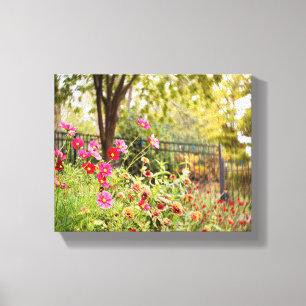 Cosmos Garden 8 x 10 Toile Wrap par DeGruy