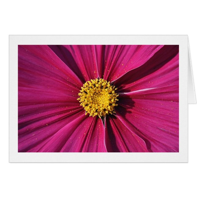 Cosmos intérieur (Devant horizontal)