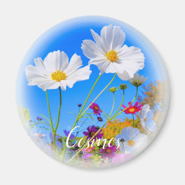 Cosmos Magnet