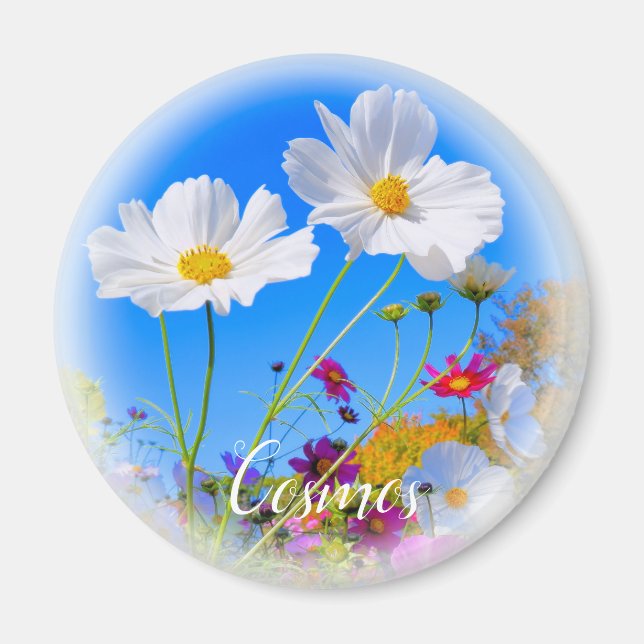 Cosmos Magnet (Vorne)