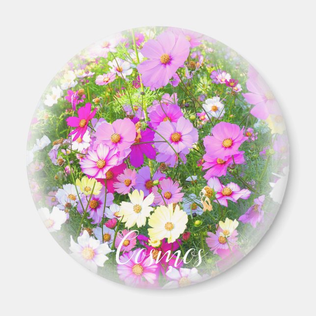 Cosmos Magnet (Vorne)