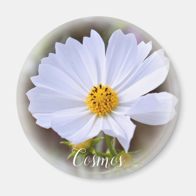 Cosmos Magnet (Vorne)