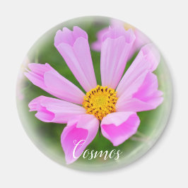Cosmos Magnet