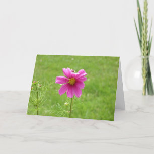 Cosmos notecard karte