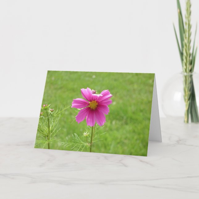 Cosmos notecard karte (Vorderseite)