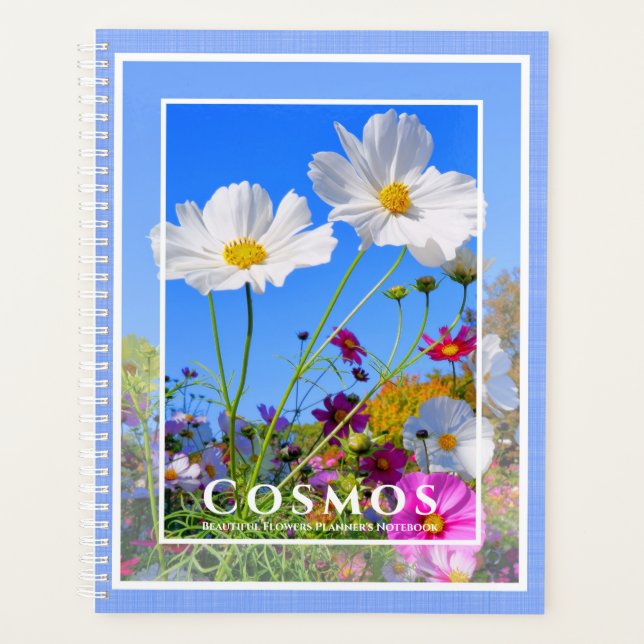 Cosmos Planer (Vorderseite)