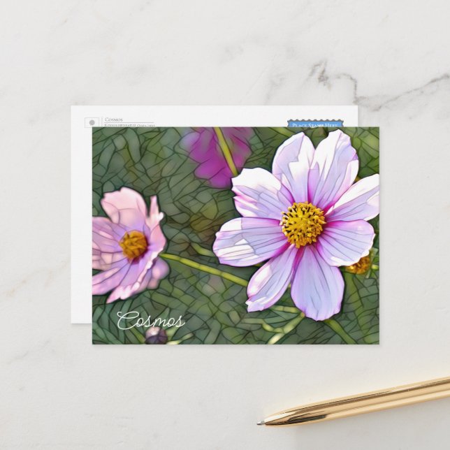 Cosmos Postkarte (Vorderseite/Rückseite Beispiel)