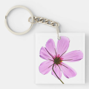 Cosmos roses