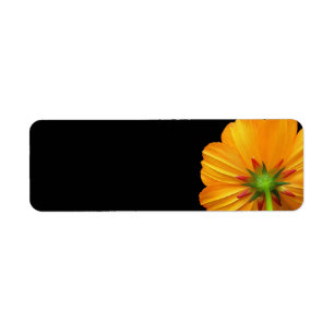 Cosmos-Rücksendeadressen-Aufkleber