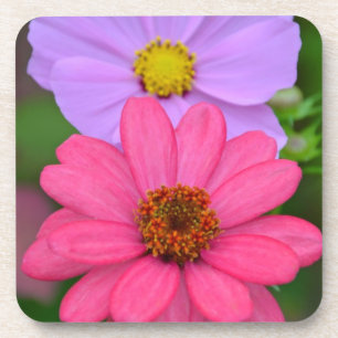 Cosmos und Zinnia-Blumendruck Untersetzer