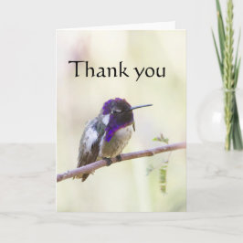 Costa gehockt auf einer Niederlassung, danke