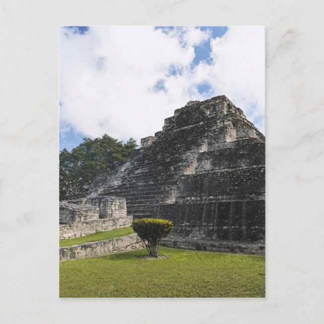 Costa Maya Chacchoben Maya Ruins Postkarte (Vorderseite)
