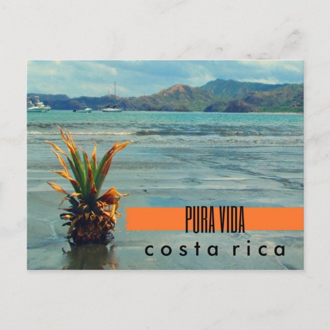 Costa Rica Ananas sur la plage Carte postale (Devant)
