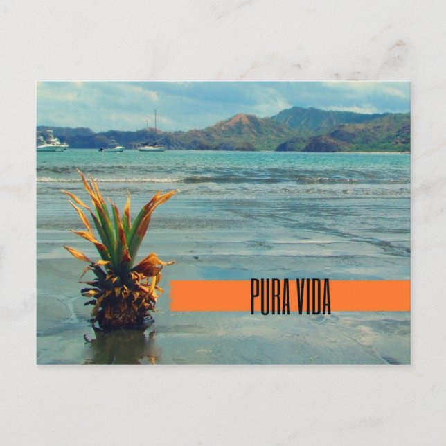 Costa Rica Beach Pura Vida Carte postale (Devant)