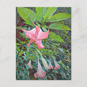 Costa Rica Blume Postcard Postkarte