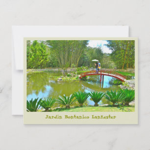 Costa Rica / Bontanical Park Postkarte