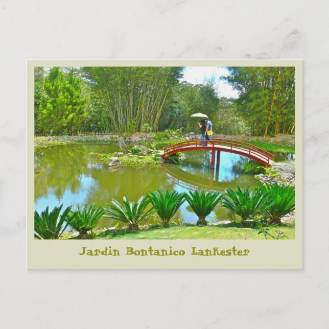 Costa Rica / Bontanical Park Postkarte (Vorderseite)
