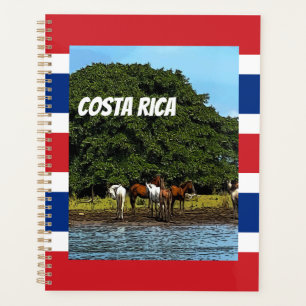 Costa Rica - Chevaux au bord de l'eau