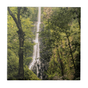 Costa Rica, Cocos-Insel, Wafer Bay Wasserfall Fliese