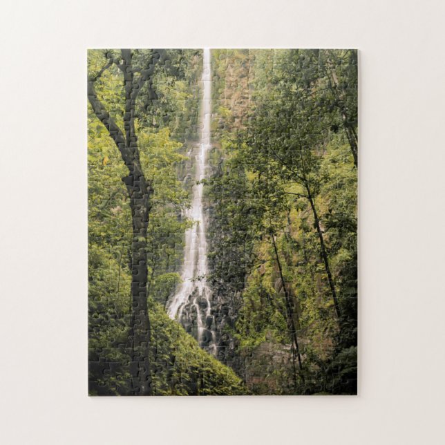 Costa Rica, Cocos Island, Wafer Bay Wasserfall (Vertikal)