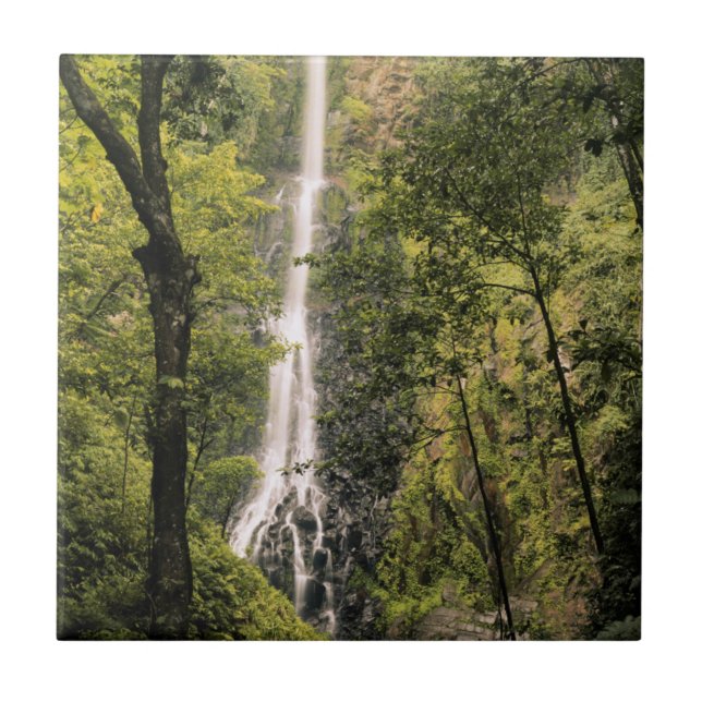 Costa Rica, Cocos Island, Wafer Bay Wasserfall Fliese (Vorderseite)