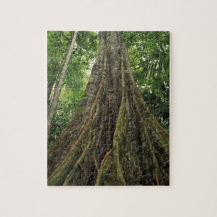 Costa Rica, Corcovado-Nationalpark, gestützt