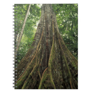 Costa Rica, Corcovado-Nationalpark, gestützt Notizblock