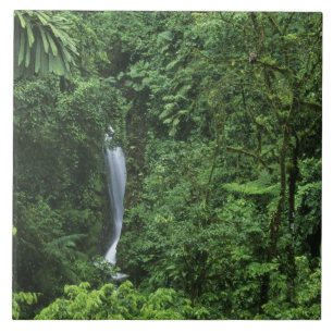 Costa Rica, Gebiet des Arenal Vulkans, Hängebrücke Fliese