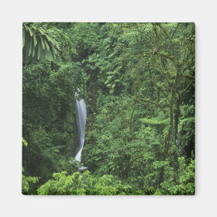 Costa Rica, Gebiet des Arenal Vulkans, Hängebrücke Magnet