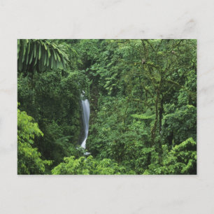 Costa Rica, Gebiet des Arenal Vulkans, Hängebrücke Postkarte