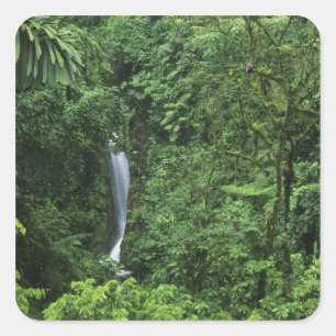 Costa Rica, Gebiet des Arenal Vulkans, Hängebrücke Quadratischer Aufkleber