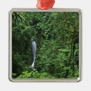 Costa Rica, Gebiet des Arenal Vulkans, Hängebrücke Silbernes Ornament
